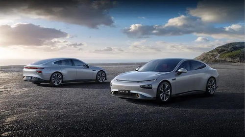 特斯拉再度降價(jià)掀起行業(yè)風(fēng)暴 小鵬汽車陷入生死局，傳統(tǒng)代理模式面臨重構(gòu)